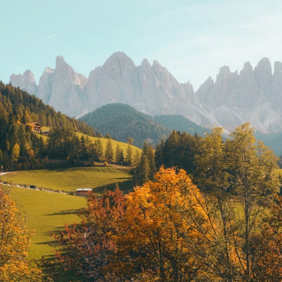 Strona Główna About 06